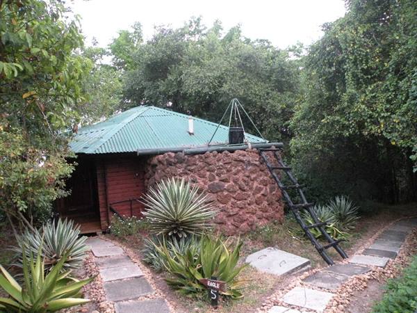 Cabin with green metal roof, red stone wall and wooden ladder among agaves