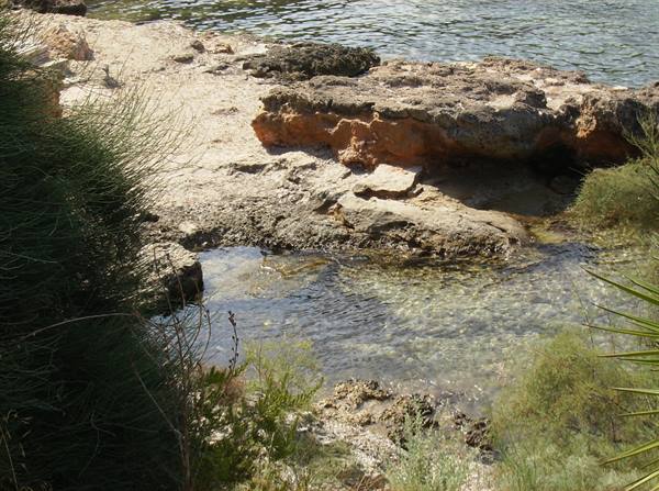 Red limestone rocks and clear shallow water among Mediterranean vegetation