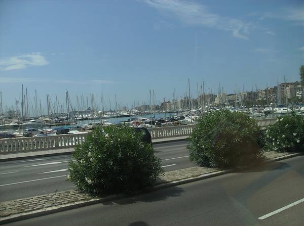 port of palma