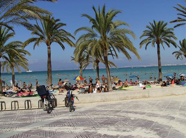 seafront el arenal