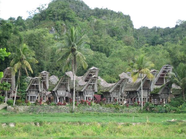 Toraja village