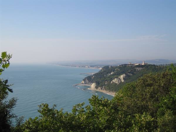 Green branches frame the rocky coastline and blue sea under a clear sky