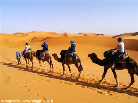 Camel caravan carrying tourists across golden sand dunes in the desert