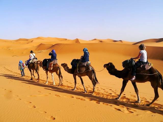Carovana di turisti su cammelli attraversa le dune di sabbia del deserto