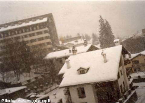 snow snow and more snow!!!!!