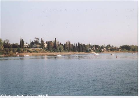 Boats moored along a green cypress-lined shore, blue water in the foreground