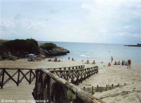 Caribbean beach