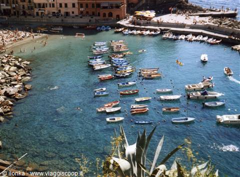 Colorful boats moored in turquoise harbor beneath Ligurian houses