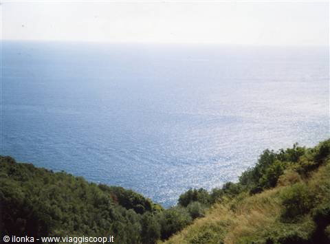 Green hillside with bushes slopes down to the blue Ligurian sea
