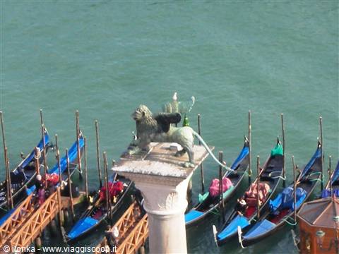 the lion of venice....