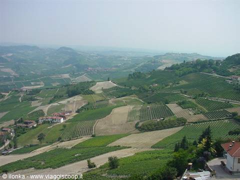 hills of the Langhe