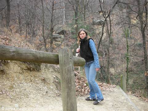 Girl in jeans leaning on a wooden fence along a wooded trail