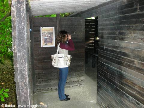 Woman with white bag watching through binoculars inside a wooden birdwatching hut