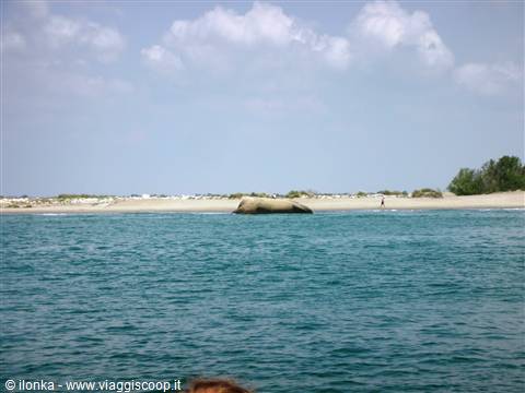 Sand spit with a rock seen from the sea over turquoise water