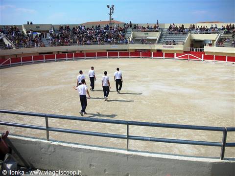 camargue bullfight