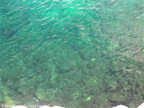 Rippled turquoise water over submerged stones visible near the shore