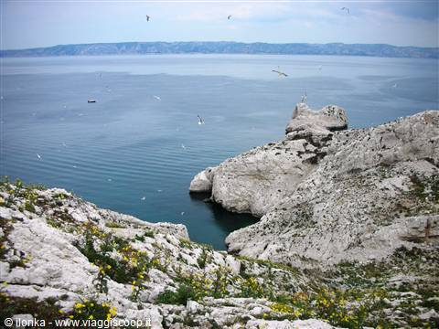 Seagulls flying over white rocky cliffs and blue sea