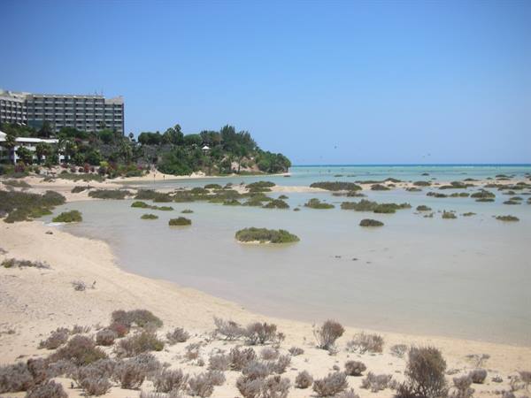 Sotavento-lagoon