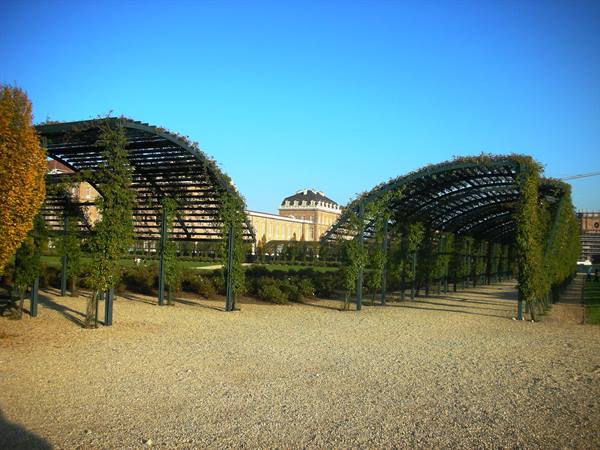 embellishments, climbing hedges