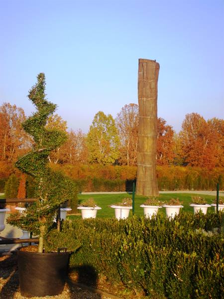 glimpses, works of art in the park