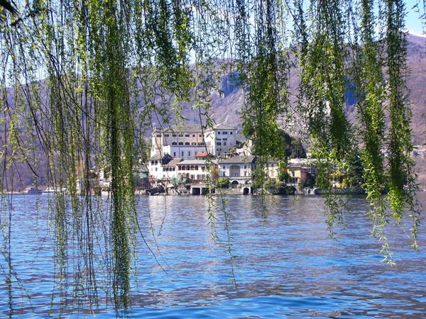 view of the island in the background from a glimpse of Orta