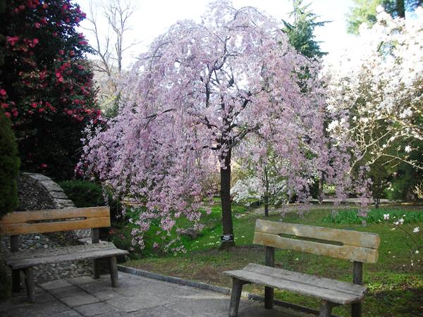 picturesque corner
