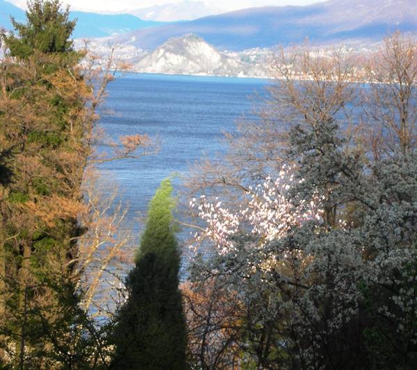 view of Lake Maggiore from the garden