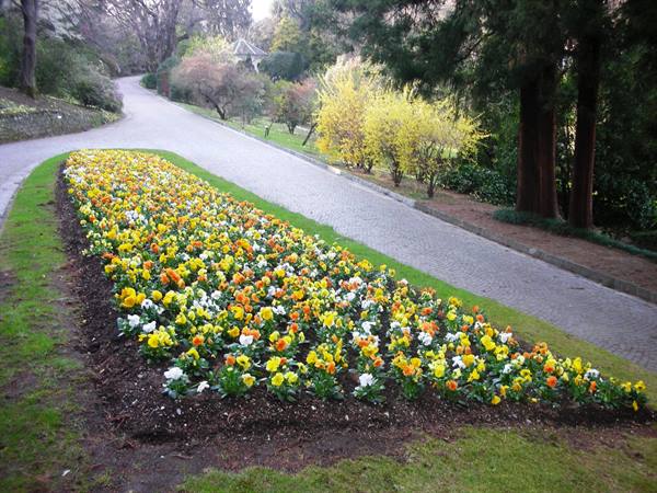 very well-kept flower beds full of colour