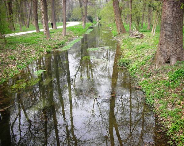 reflections on the watercourse in the castle park