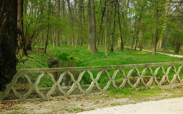 bridge over the river