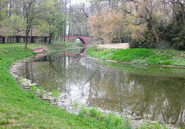 bridge in the park