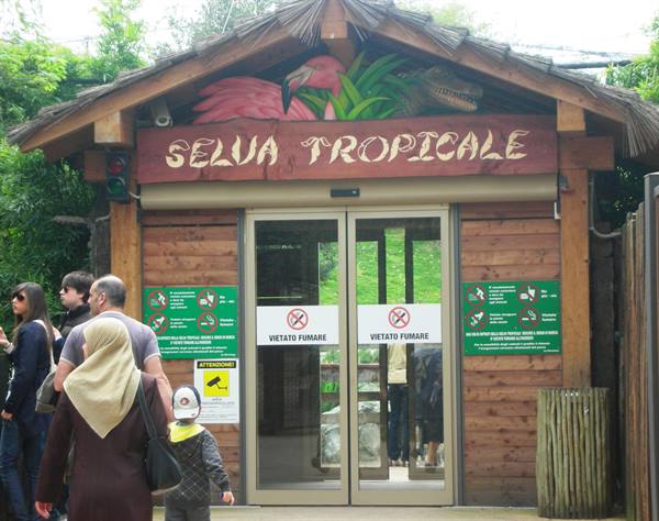 tropical forest entrance