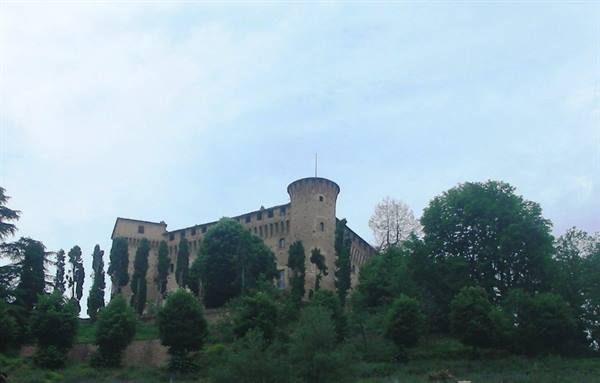 view from below