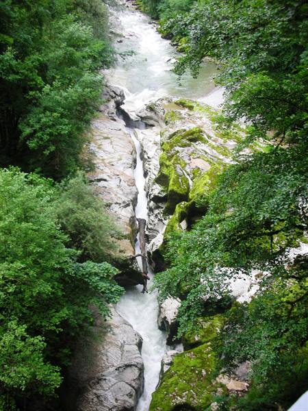 the gorges, tree trunk stuck by the last flood