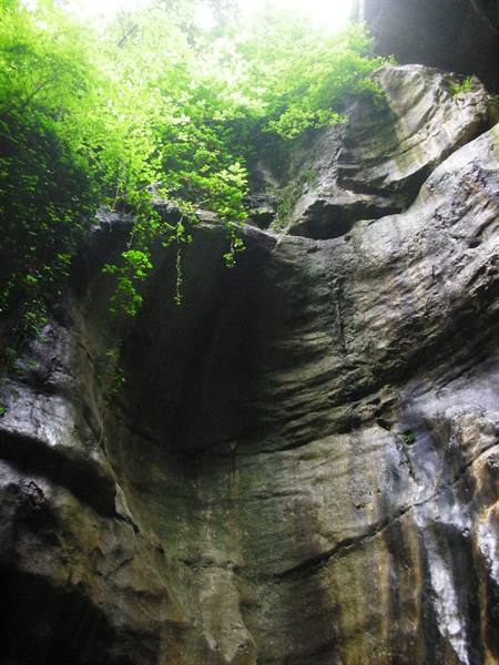 view upwards, rock and vegetation