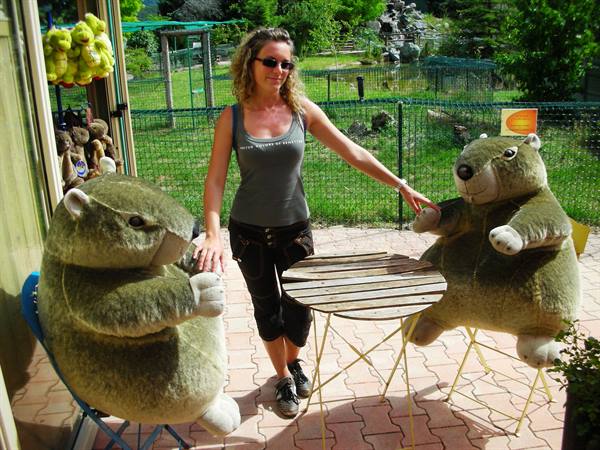 plush toys at the start of the park