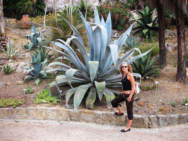 me and the succulent plant...huge