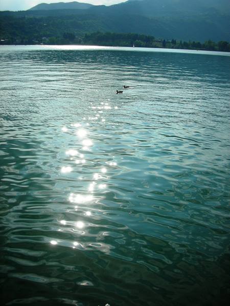 great lake of Avigliana