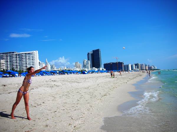 the beach of miami beach