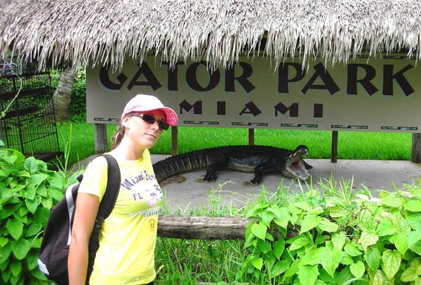 photo spot everglades park