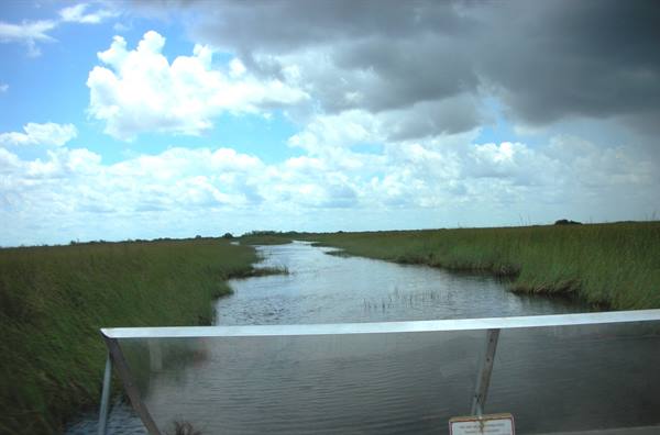 boat ride through the swamp