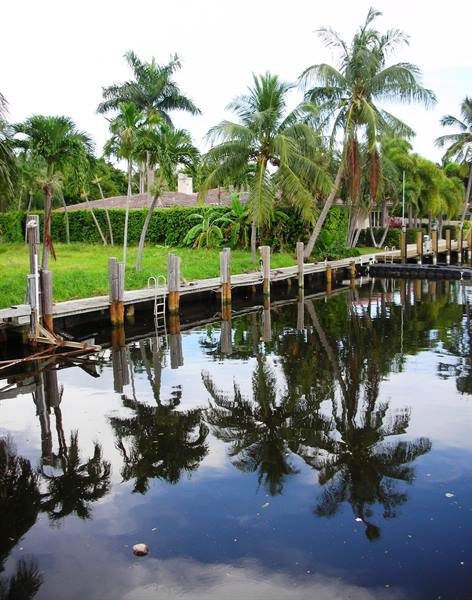 reflections in the canals
