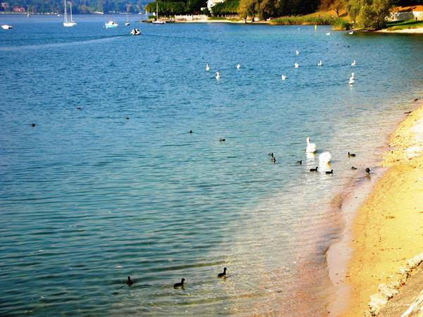angera lakefront