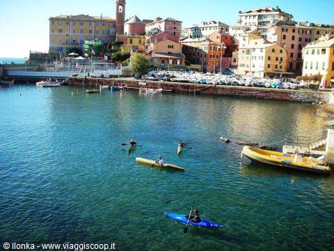 nervi