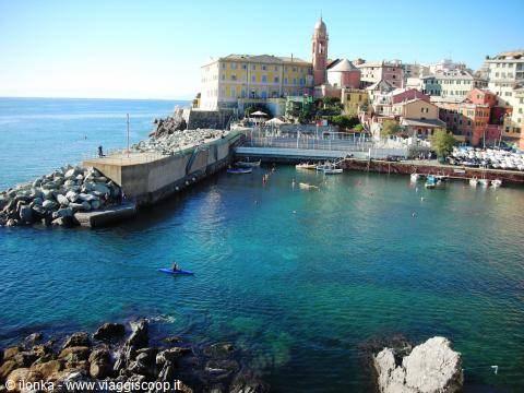 nervi