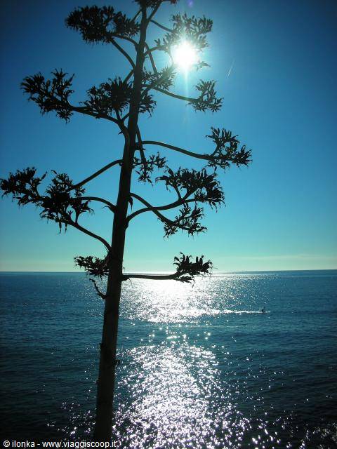 from the A.Garibaldi promenade
