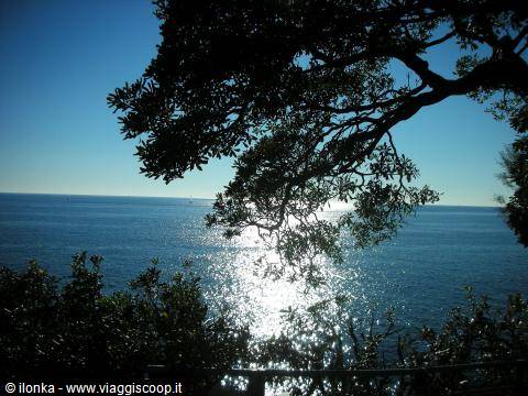 sea view from an alley of nervi