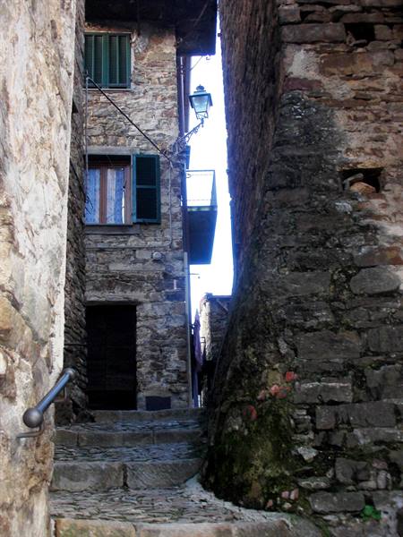 the alleys of the village