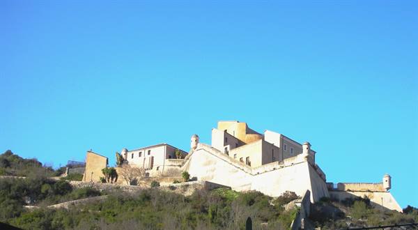 view from below