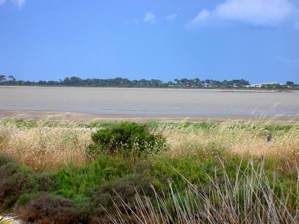 hyeres salt flats